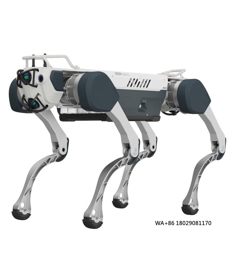 Robot Remote Control - Doskonalenie sztucznej inteligencji dla edukacji i