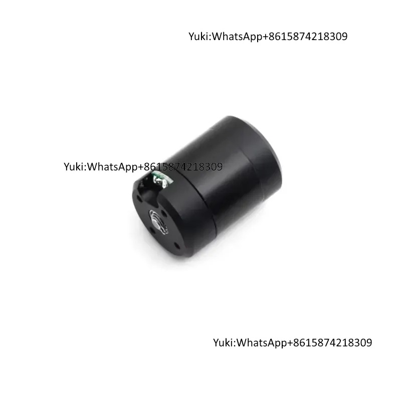 SUBFF Nowy 100% Wodoodporny Si – Dc Motor 12V recenzja i cena