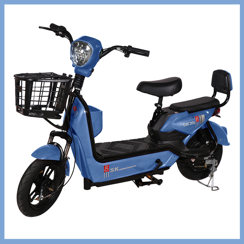 YTYIN Hurtownia Rowerów Elektr – Geared Motor recenzja i cena